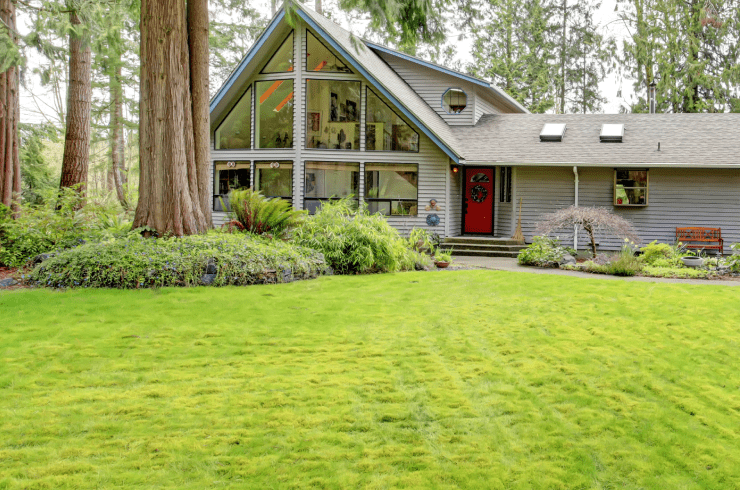 Master Lawns